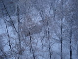 【乌克兰项目】基辅学生的雪景写意